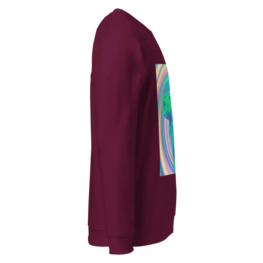 Spiral Capybara Organic Raglan Sweatshirt product image (12)