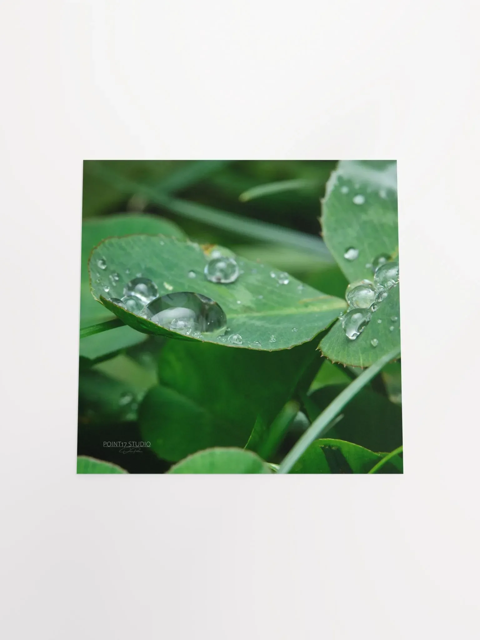 Dew Gems #8 - Print product image (11)