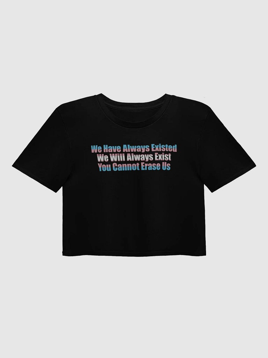 You Cannot Erase Us Crop Top product image (3)