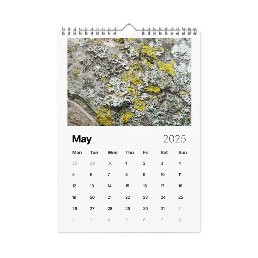 Likin' Lichen 2025 Wall Calendar product image (6)