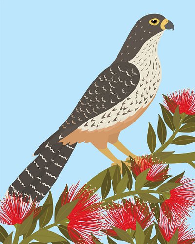 Congrats to Kārearea 👑 New Zealand’s only native falcon and the 2025 #BirdOfTheYear!

@forestandbird #BirdOfTheYear #BirdOfTh...