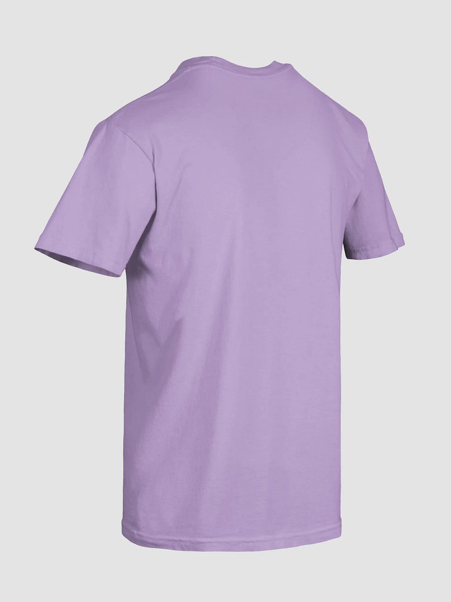Computer Rat Heavyweight Tee - No Text product image (111)