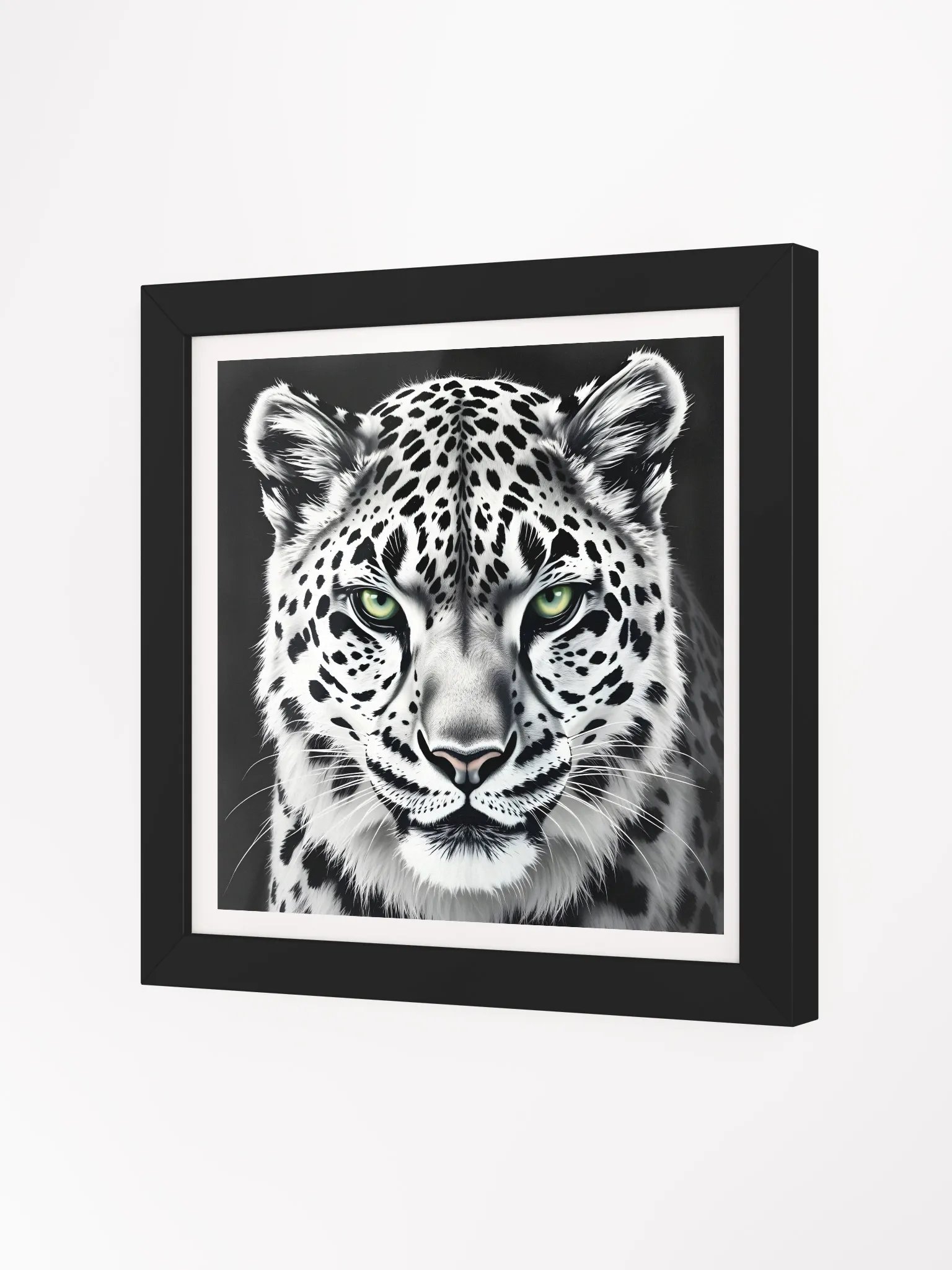 Snowleopard product image (25)