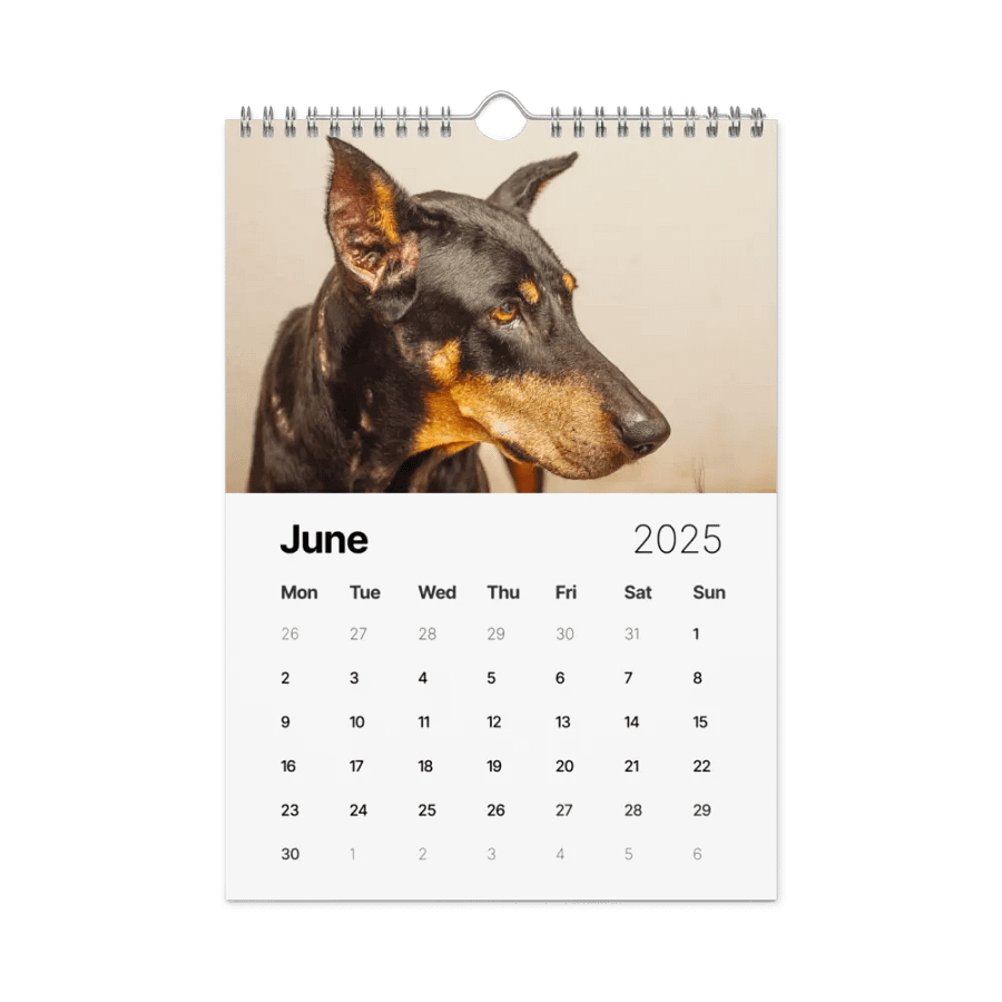 The first year - 2025 Calendar product image (7)