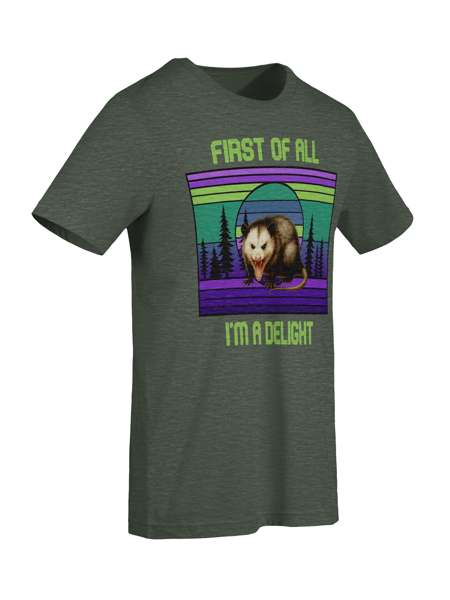 PASP Possum “I’m A Delight” Tee – Signature Colors product image (71)
