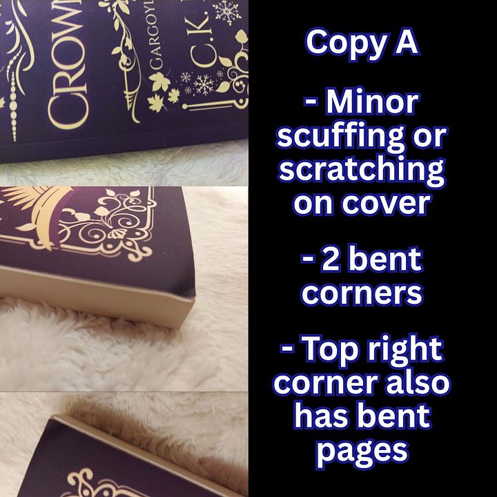 Damaged & Discounted Paperback: Crown-Bound product image (2)
