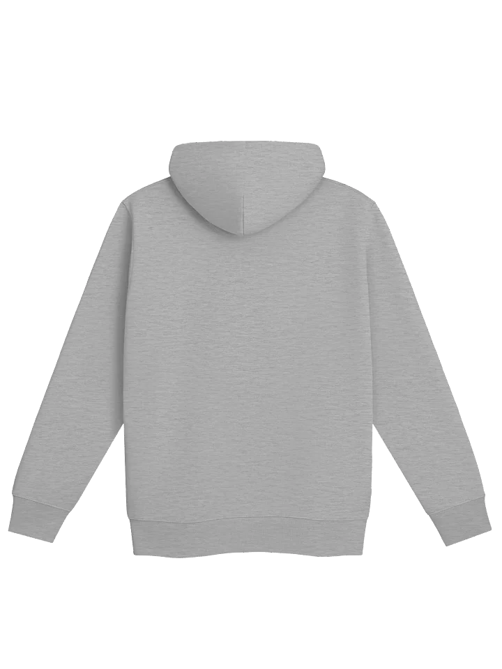 Champiöns Hoodie product image (4)