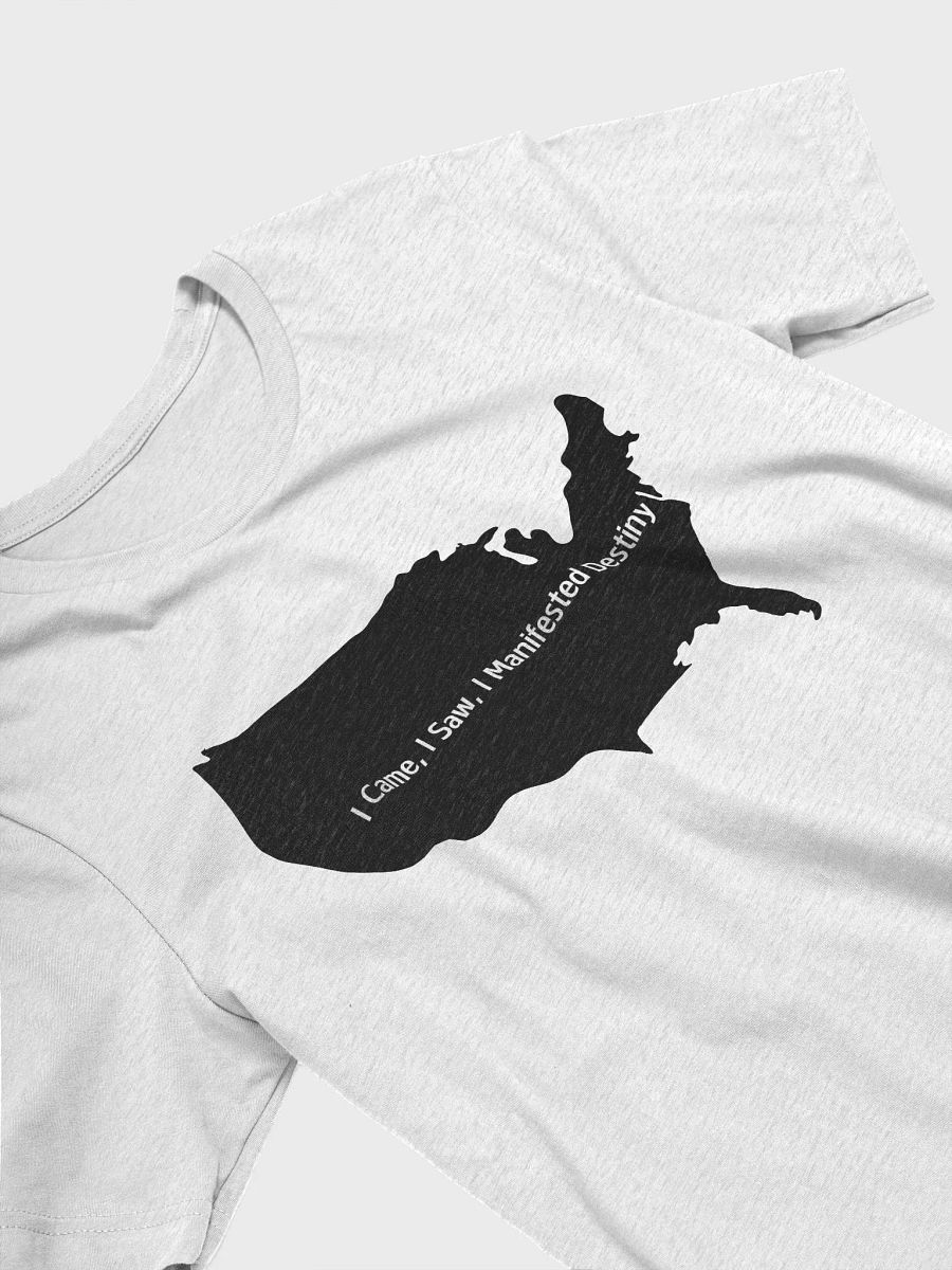 Manifest Destiny Graphic Tee product image (16)