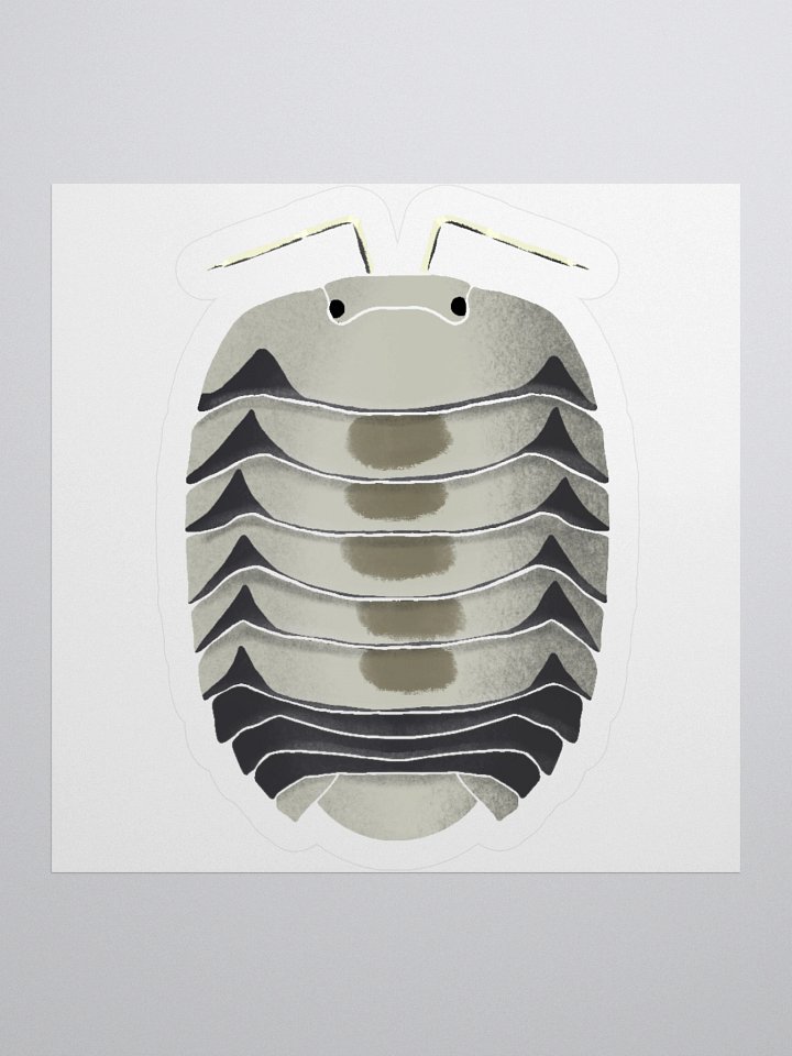 White Tiger Isopod Sticker product image (4)