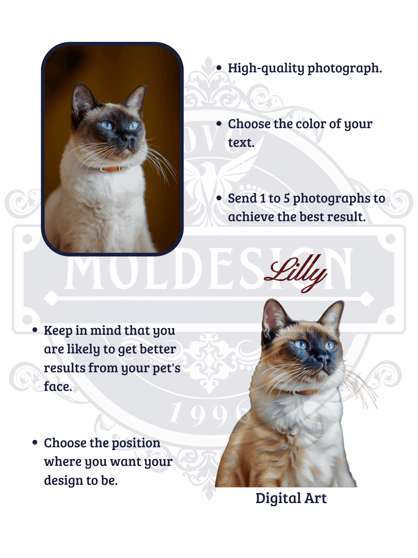 YOUR SIAMESE! / BICOLOR MUG WITH PERSONALIZED NAME / DIGITAL ART product image (7)