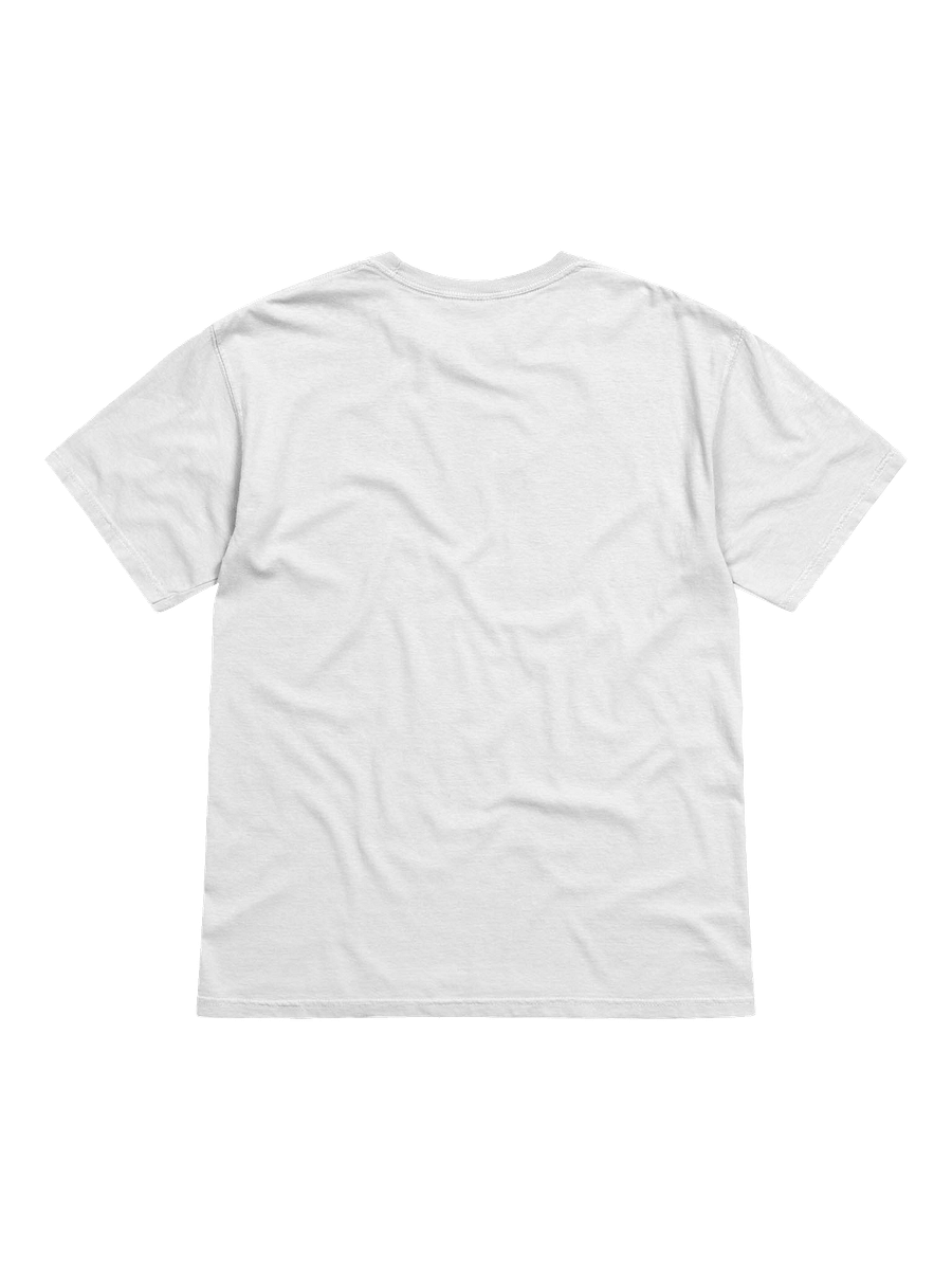 No Place Like Home Dog Tee product image (8)