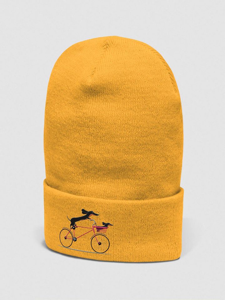 Weinner's bike ride product image (7)