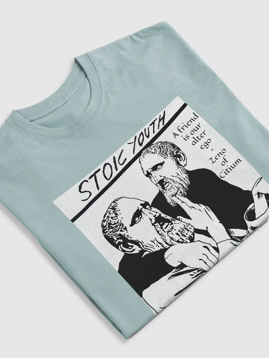 Stoic Youth Zeno of Citium quote Cotton Heritage Men's Premium Heavyweight Tee product image (5)