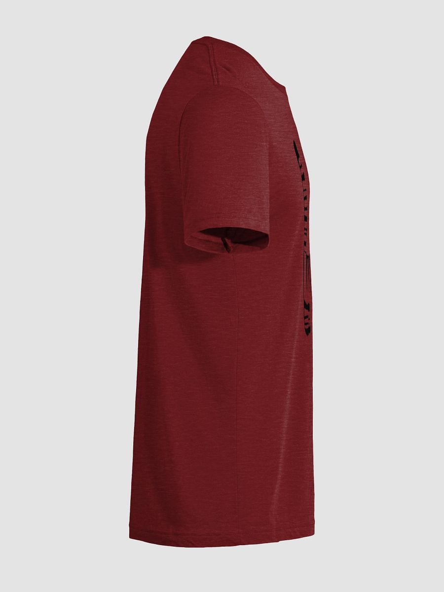 Invisible Elegance Tri-Blend Tee product image (118)