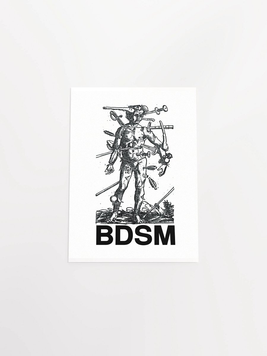 BDSM - Poster product image (28)