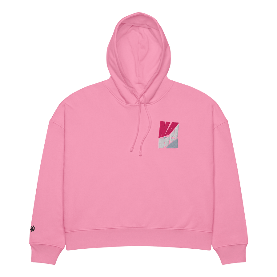 WANTED MEMORY®/NARVI FLOTIN® EMBROIDERY HOODIE product image (3)