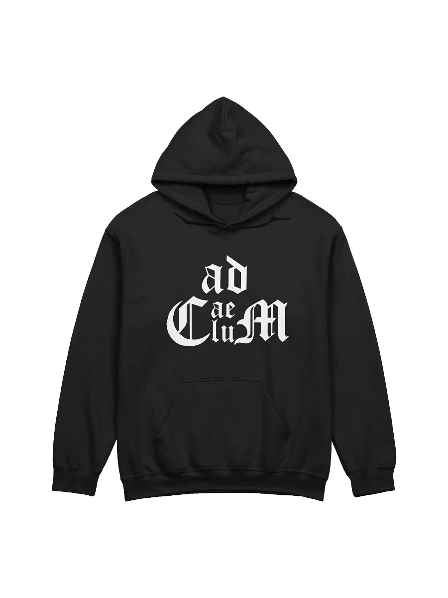 Generic Logo Pullover Hoodie (Black) product image (1)