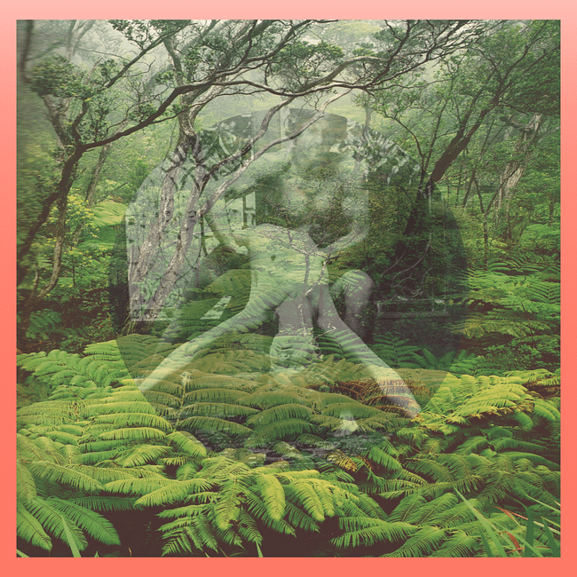 EARTH BATHER (coming soon)