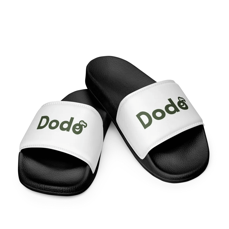 Dodo Slides product image (9)