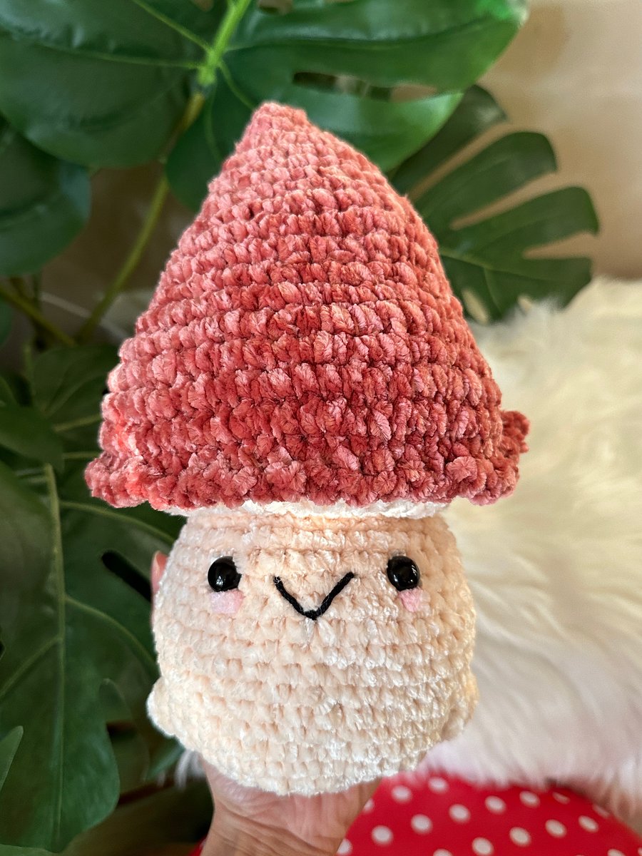 Big Baby Mushroom product image (3)