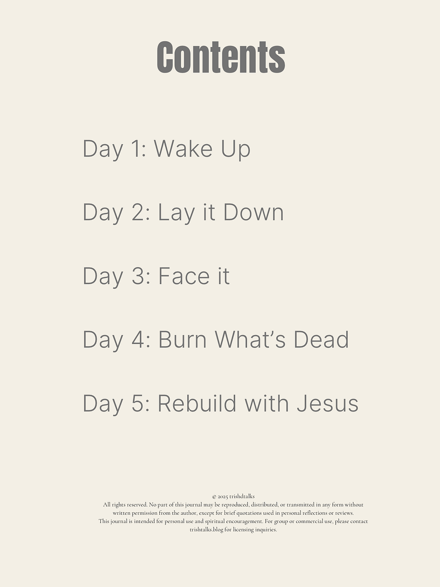 Faith Reset: Burn the Religion & Rebuild the Fire product image (2)