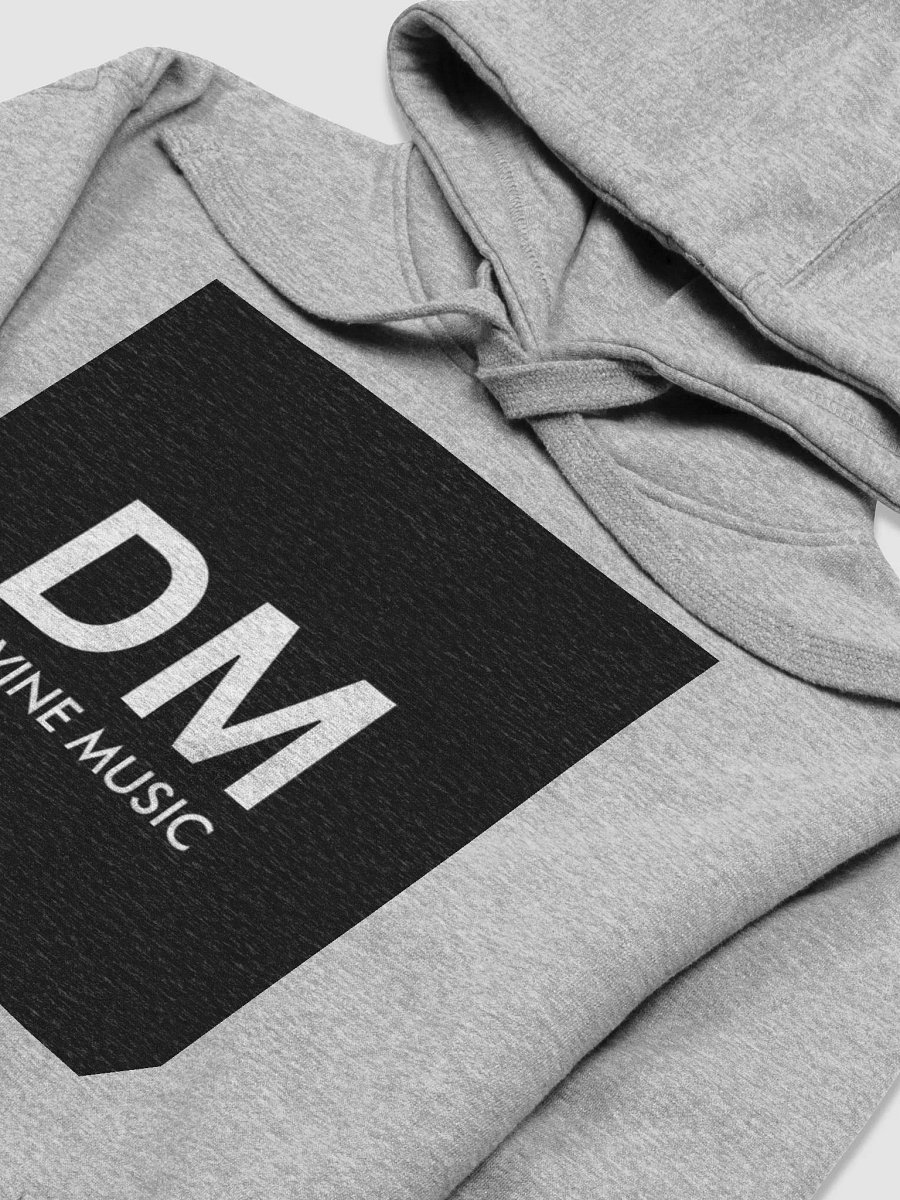 DIVINE HOODIE GRAY product image (3)