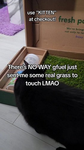 Shoutout to @gfuelenergy and @freshpatch for helping this gamer touch grass! 😂 my 3 cats already love the grass and I love th...