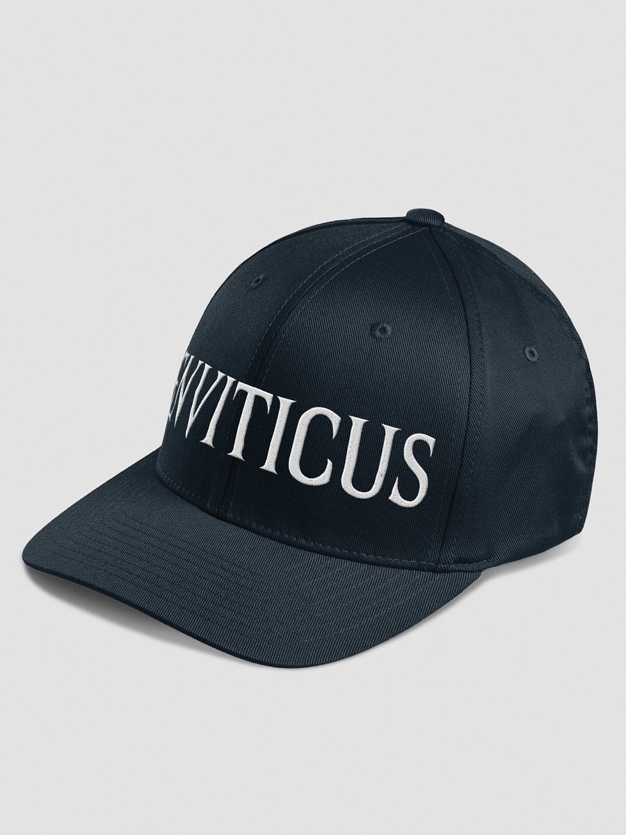 ENVITICUS Hat product image (13)