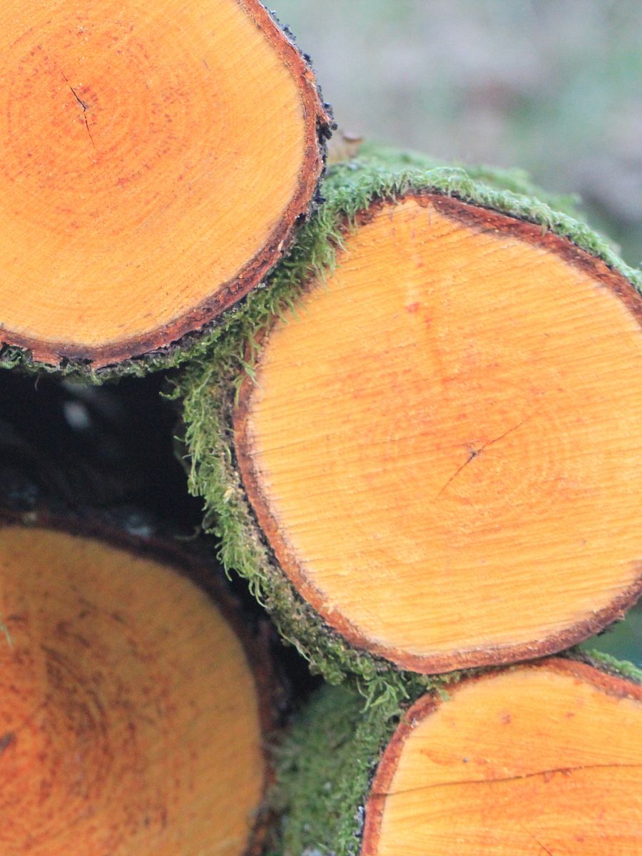 Abstract Image Collection product image (12)