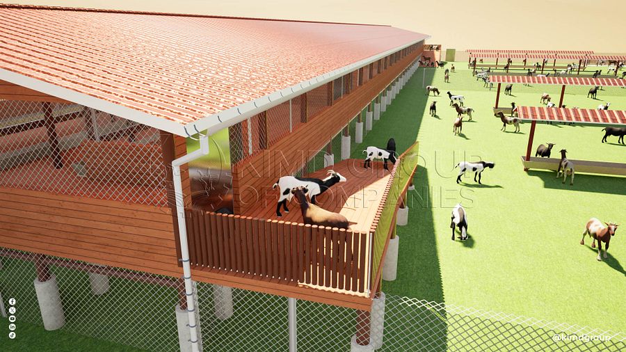 5,000 Zero Grazing Goats/Sheep Design Plan product image (7)