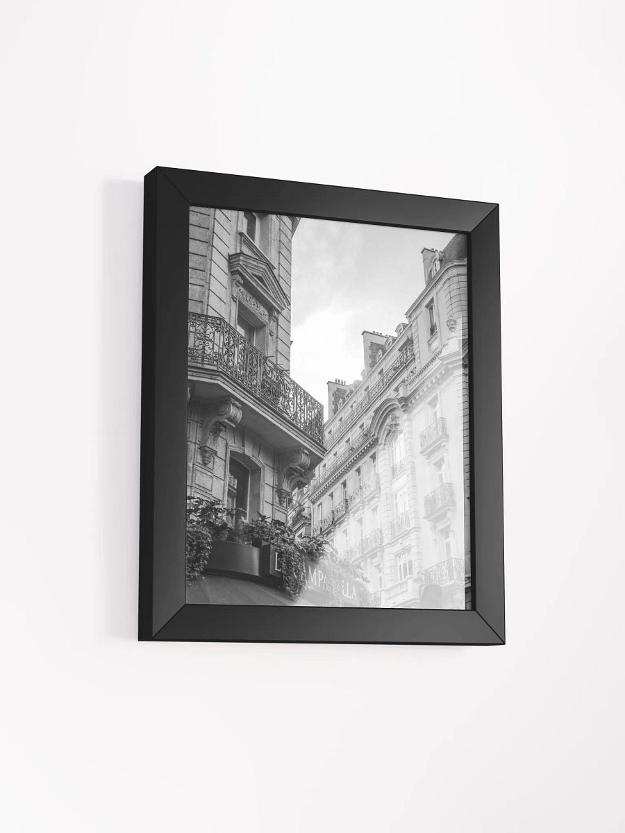 Haussmann Paris - Black & White product image (10)