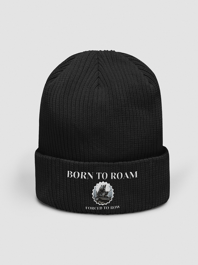 Born to Roam Beenie