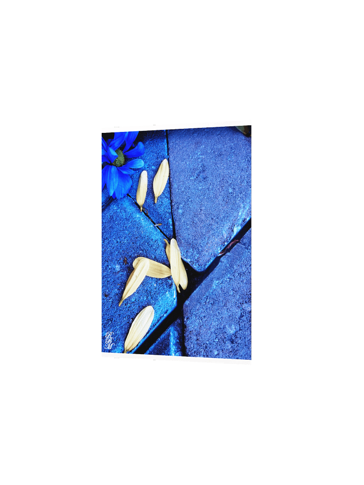 Blue Flower and Yellow Petals product image (4)