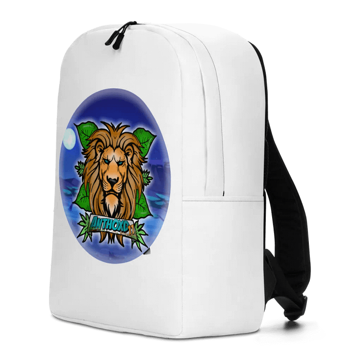 sac à dos product image (2)