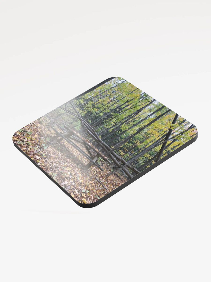 Picnic Table in the Fall Cork Coaster product image (3)