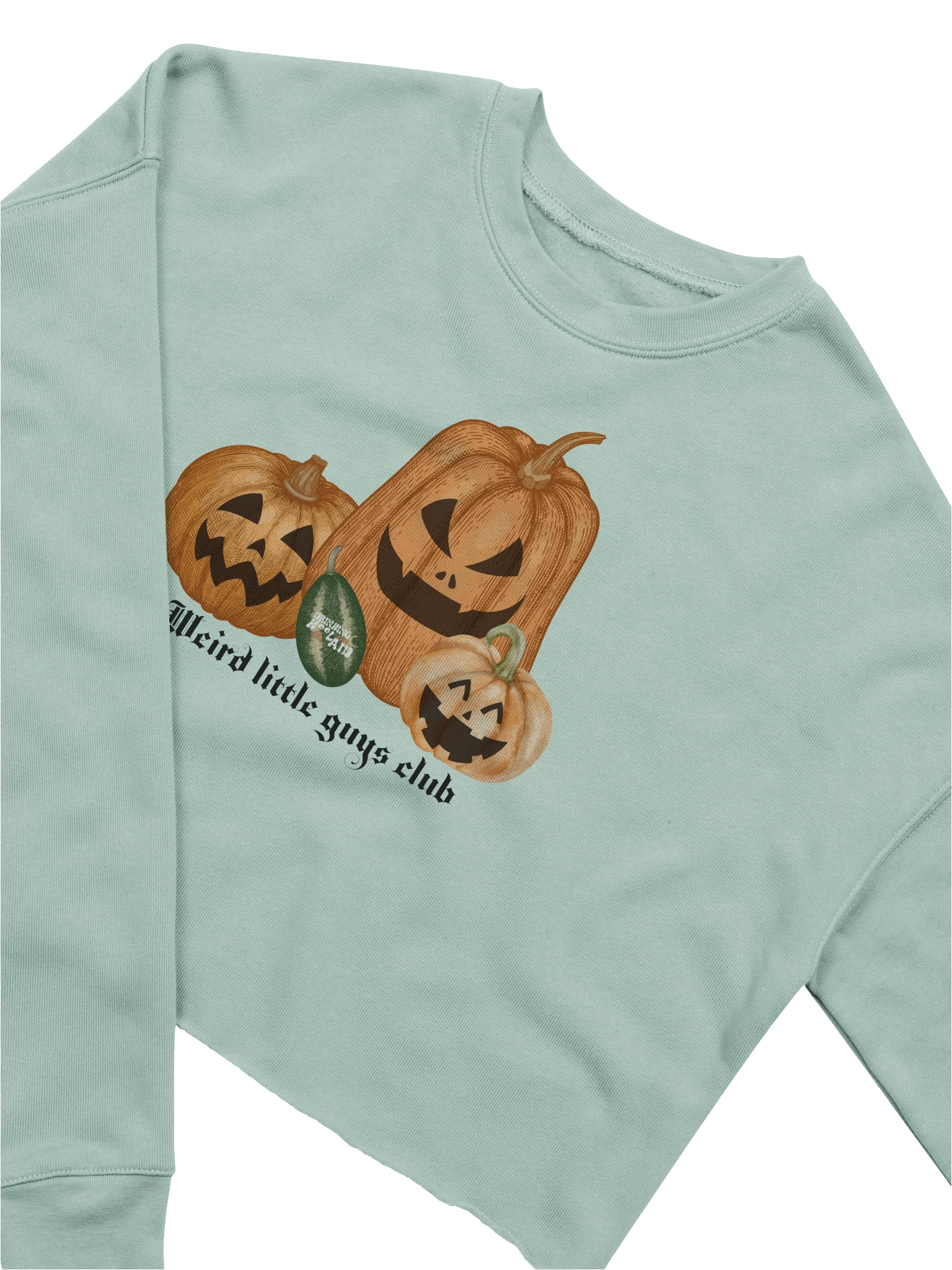 Halloween Collection: Crop Sweatshirt product image (15)