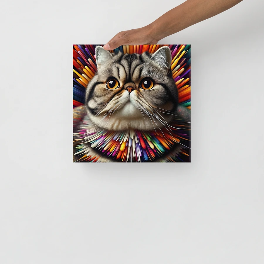 Canvas (in): Exotic Shorthair product image (13)