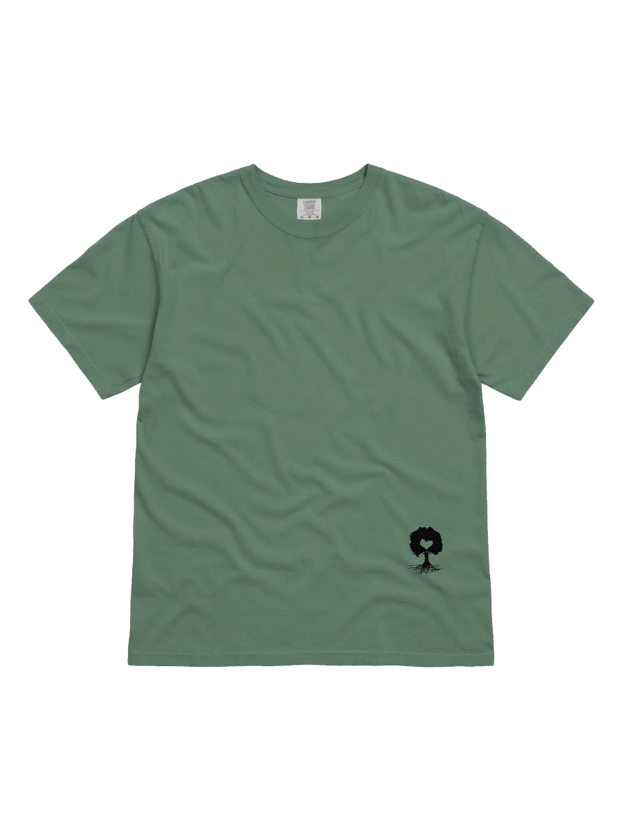 T.U.L.L.'s Ephesians 6 Armor Shirt product image (1)