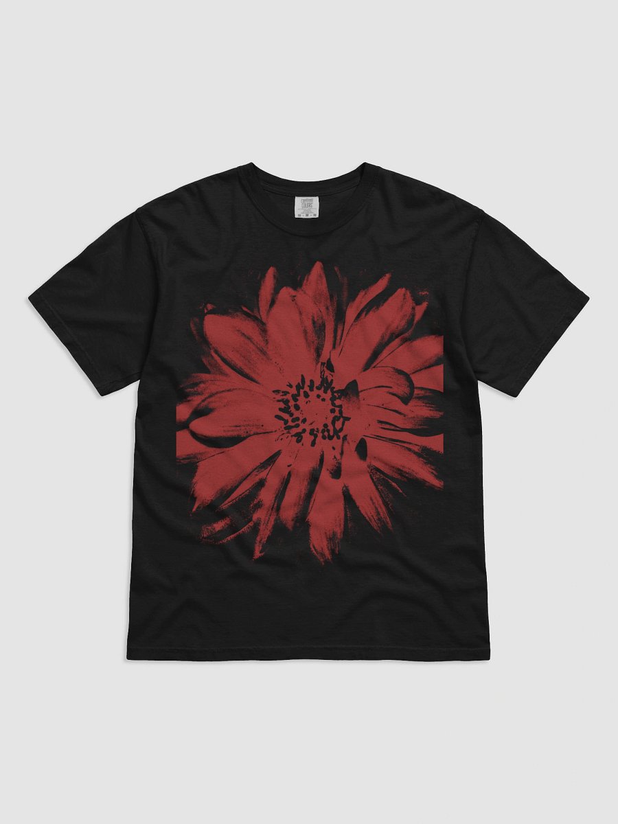 ZINNIA product image (1)