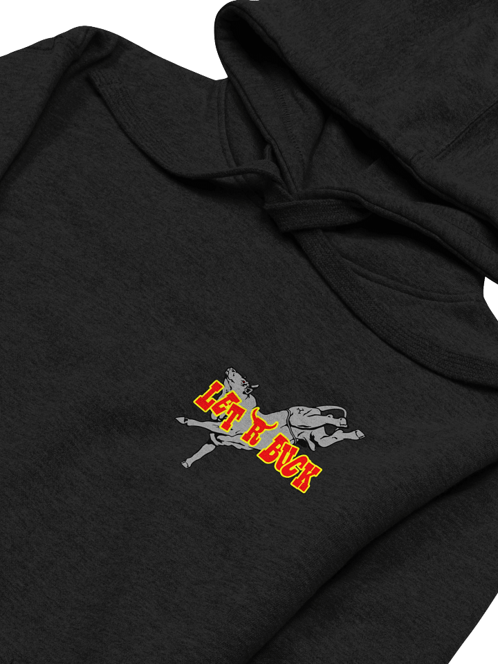 BSGF - Premium Hoodie product image (2)