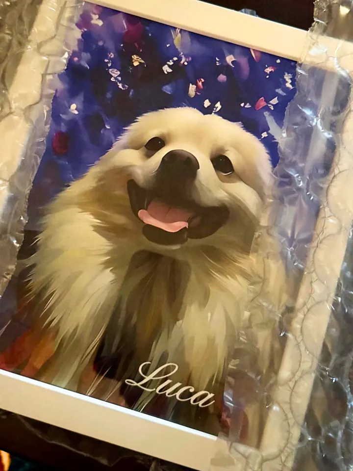 KNOW LUCA’S STORY💙 / FRAMED HIGH-QUALITY MATTE POSTER product image (2)