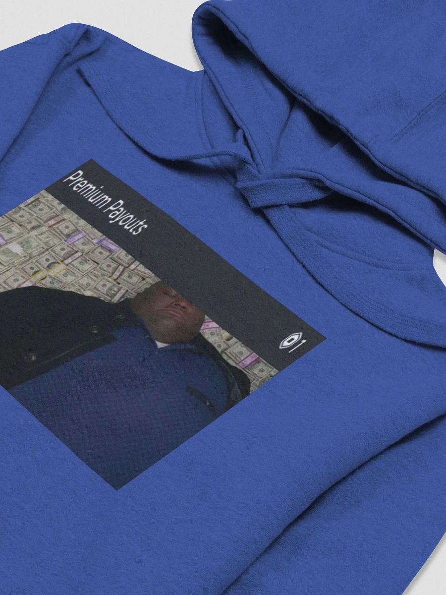 me when i get 1 robux of premium payout: Hoodie product image (3)