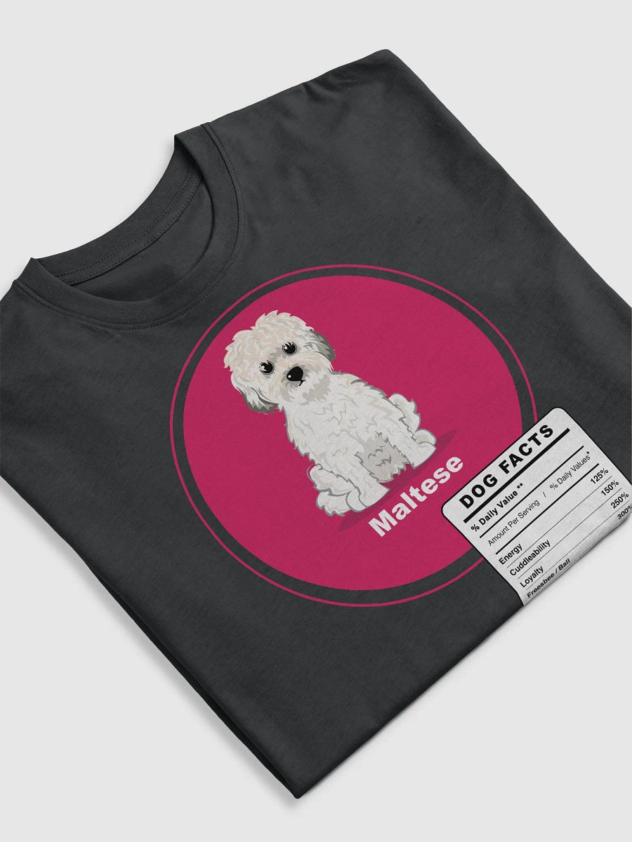 Maltese Dog breed adorable Facts product image (5)
