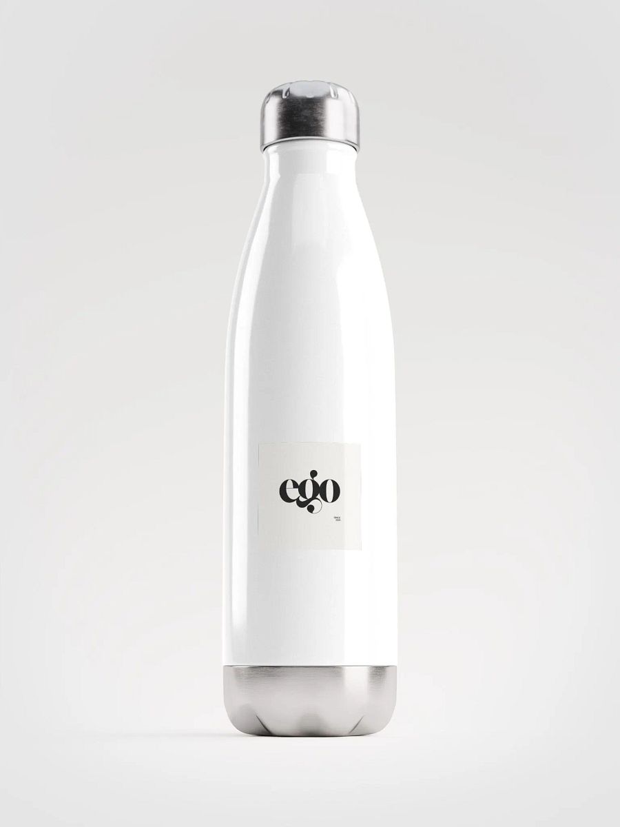 stainless steel water bottle product image (1)