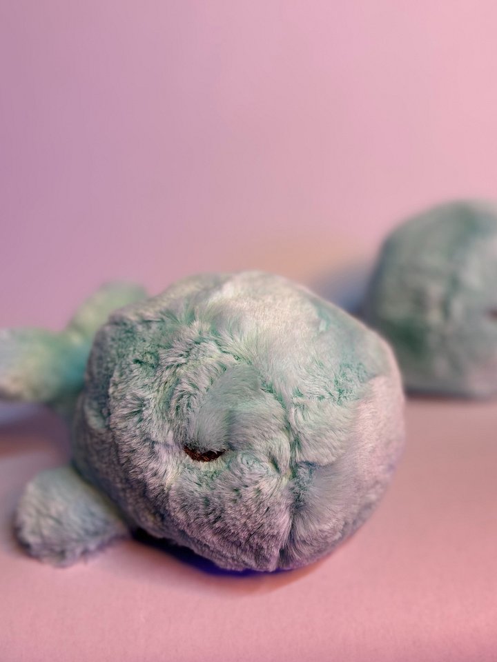 Sleepy Whale product image (2)