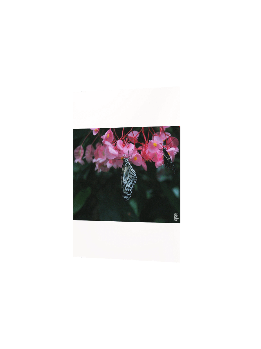 Butterfly Hanging from Flowers product image (9)