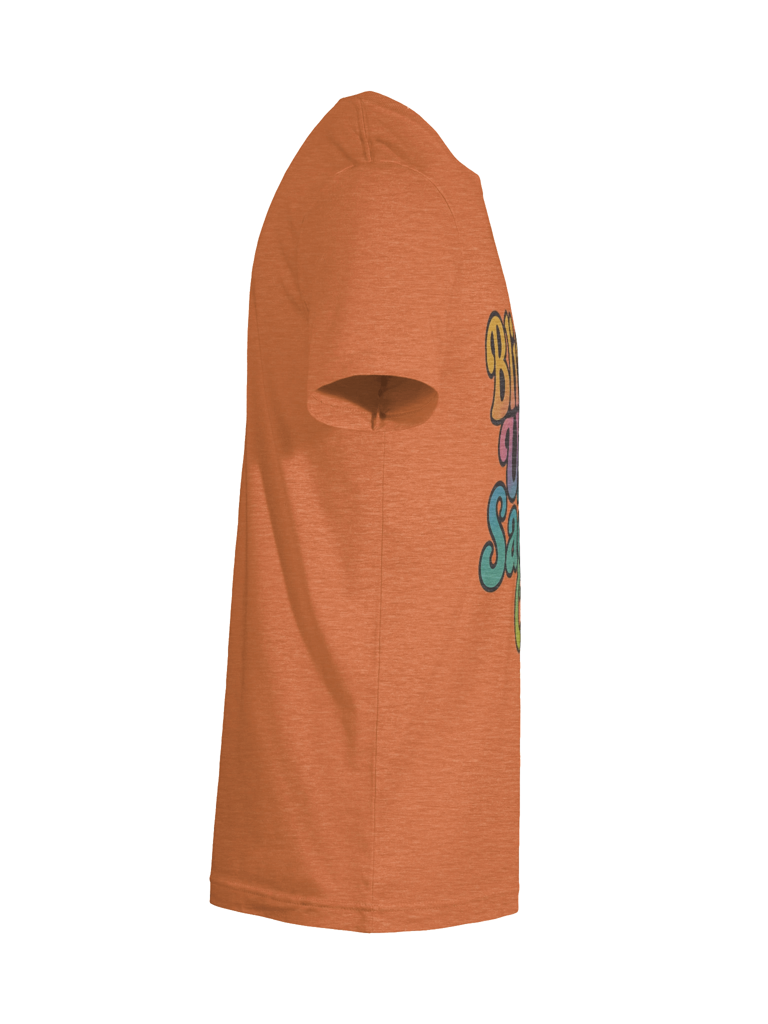 Blissed Up and Sage'd Out T-Shirt product image (124)