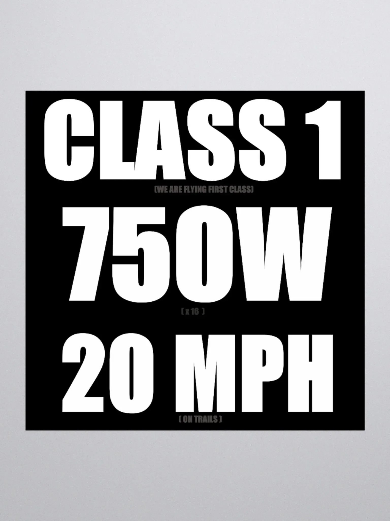 Class 1 stickers (with hidden message) product image (2)