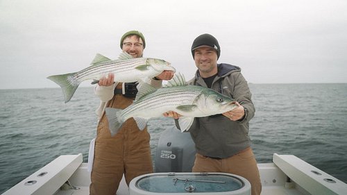 A fire fall run bite 🔥 
Took a trip out with @fishheadgreg to find some fall run striper and we got into them good. Fish were...
