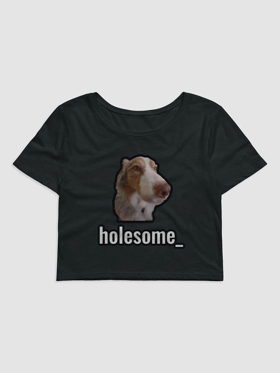 holesome Biggie crop top product image (1)